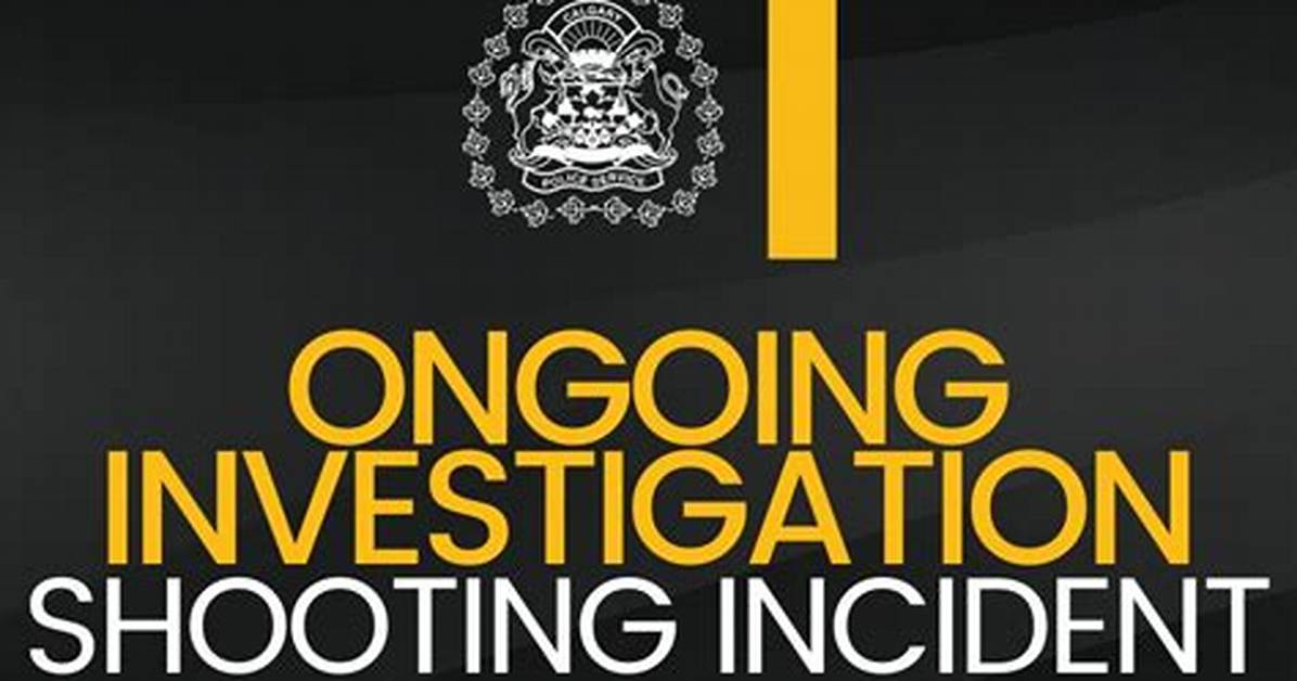 A Deeper Look into the Ongoing Investigation