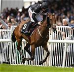 A Pioneer in Horse Racing