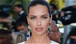 Adriana Lima's Net Worth in 2023: a Model's Fortune