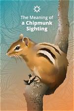 Behind the Sighting and What It Means