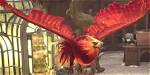 Can You Find a Second Phoenix Hogwarts?