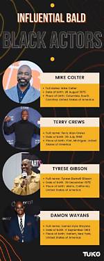 Celebrating the Charisma of Bald Black Men Celebrities