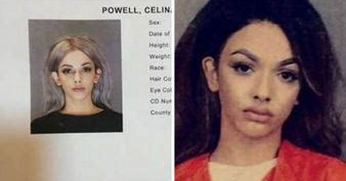Celina Powell Before and After Plastic Surgery