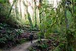 Discover Bellingham: the Cradle of Your History