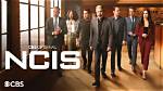 Discover the Enviable Wealth of the 'Ncis: Los Angeles' Cast