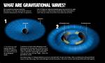 Discoveries and Insights for the "Ig-7" Niche