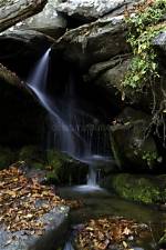 Discovering Quieto Agua: the Serene Beauty of Still Waters