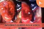 Discovering the Essence of Quiero Agua Gorw