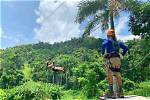 Discovering the Thrilling World of Ziplining