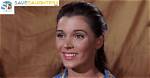 Donna Baccala Age, Birthday, Wikipedia, Who, Nationality, Biography