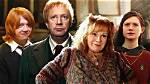 Embracing the Magic of Family: Mrs. Weasley in the Harry Potter Series