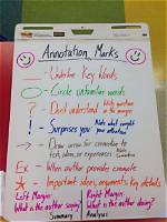 Examples of Annotations in Books
