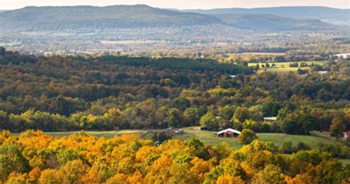 Explore Skip the Games Arkansas