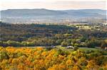 Explore Skip the Games Arkansas