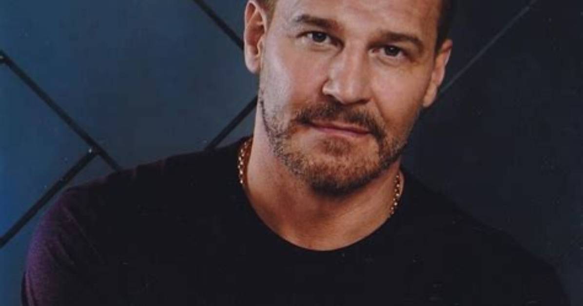 Exploring David Boreanaz's Ethnic Background: a Deep Dive into His Heritage