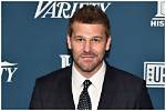 Exploring the Wealth of David Boreanaz: a Deep Dive into His Net Worth