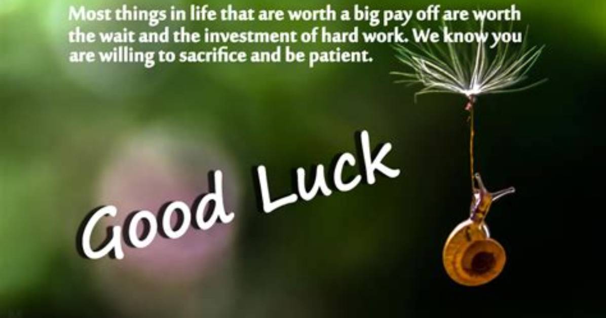 Finding the Best Luck in My Life: a Journey of Serendipity