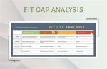 Fit Gap Analysis Template ·
