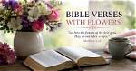 Flowers in the Bible: Scriptures of Beauty and Fragrance