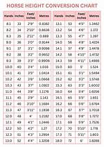 How Tall Is Kara Swisher? Height in Feet and Weigh in Kilograms