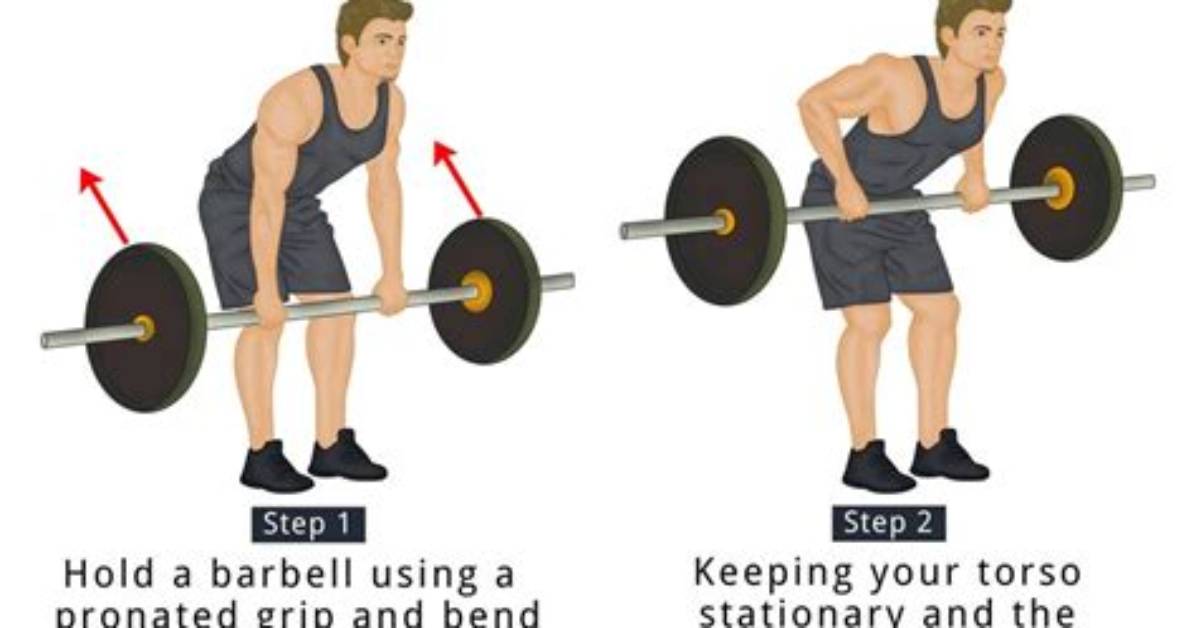 How to Do the Bent-over Row for Massive Back and Bicep Gains