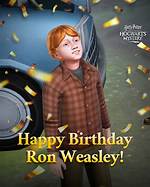 Insights and Discoveries Beyond Ron Weasley