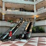 Insights into Galleria Mall Incident