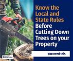 Is It Legal to Cut Down a Saguaro Cactus? ·