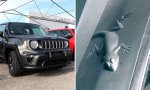 Jeep Hidden Animals