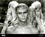 John Phillip Law