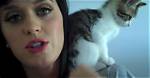 Katy Perry's Cat Kitty Purry Dead at 15 ·