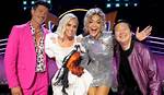 Meet the "Masked Singer Judges 2024"