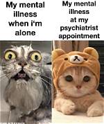 Mental Health Memes Are Everywhere Can They Offer More Than Comic Relief?