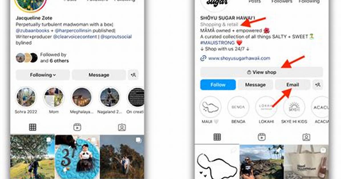 Owner, Instagram Page and More! ·