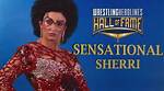 Sensational Sherri Martel: a Trailblazer in Wrestling History