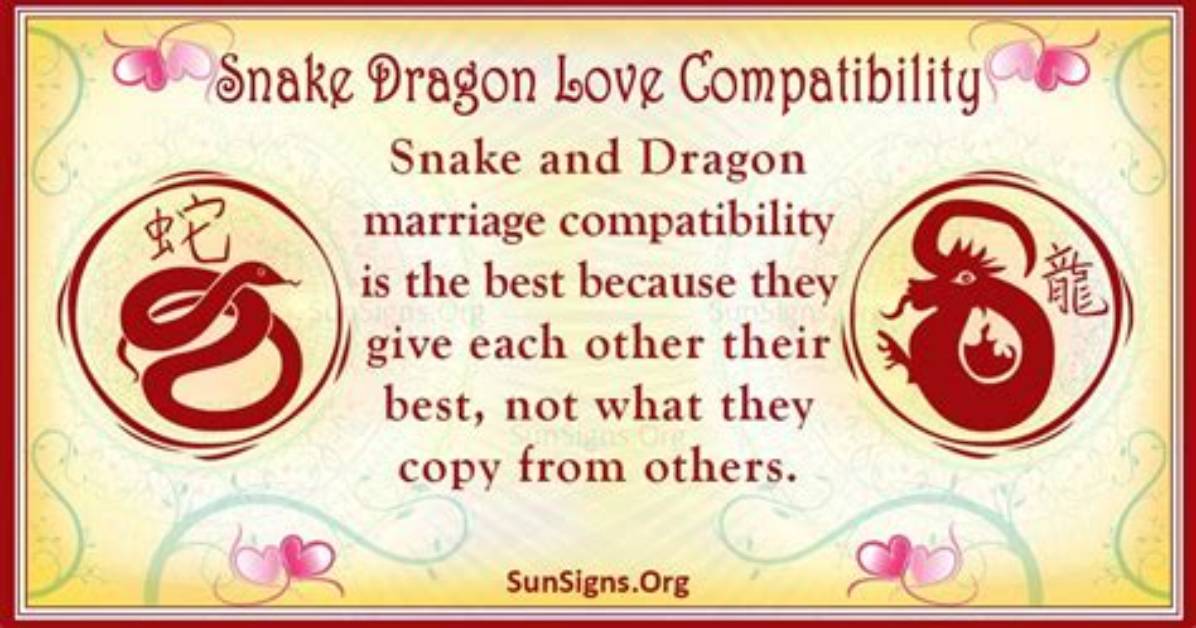 Snake and Dragon Compatibility: a Good Link