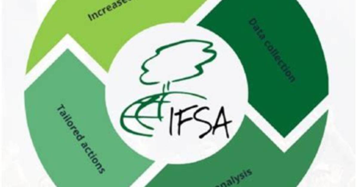 Sotwe Ifsa: Exploring Origins & Impact in the Community & Finance