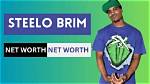 Steelo Brim Net Worth: a Comprehensive Analysis of His Wealth and Career