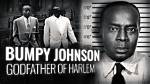 The Tragic Death of Bumpy Johnson's Daughter