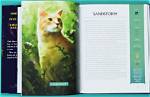 The Ultimate Guide to Nikki Cats Suraj