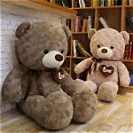The Ultimate Guide to Teddy Bears That Swim