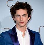 Timothee Hal Chalamet Net Worth, Height, Bio, Weight, Age ·