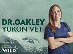 Uncover the Fascinating World of Dr. Oakley, the Alaskan Veterinarian