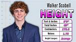 Uncover Walker Scobell's Height: Insights and Surprises Revealed
