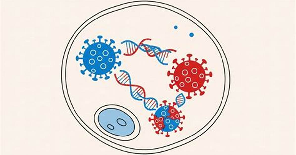Understanding the Impact of New Viral Sex Mms: What You Need to Know