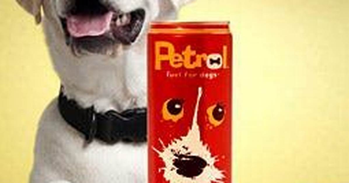 Unleashing the Mystery: the Petrol Dog Drink Net Worth