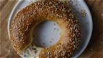 Unraveling the Mystery of the Bagel No Bagel Cat