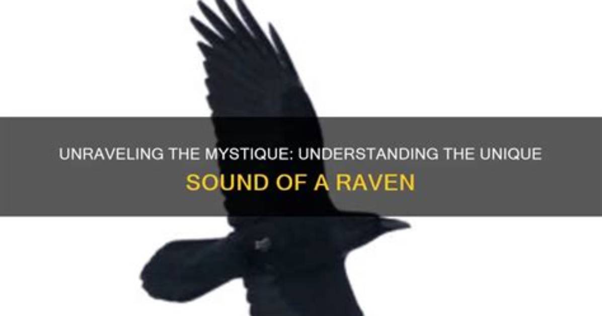 Unraveling the Mystique of the Hoodless Raven Team Leader