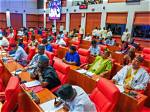 Unveiling the Financial Truths: Inside Nigerian Senators' Salaries