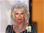 Unveiling the Life and Achievements of Camilla Araujo Leams
